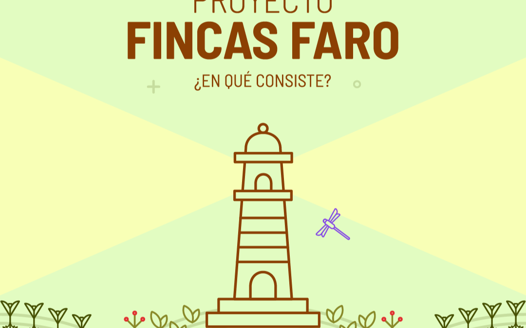 Proyecto Red Fincas Faro